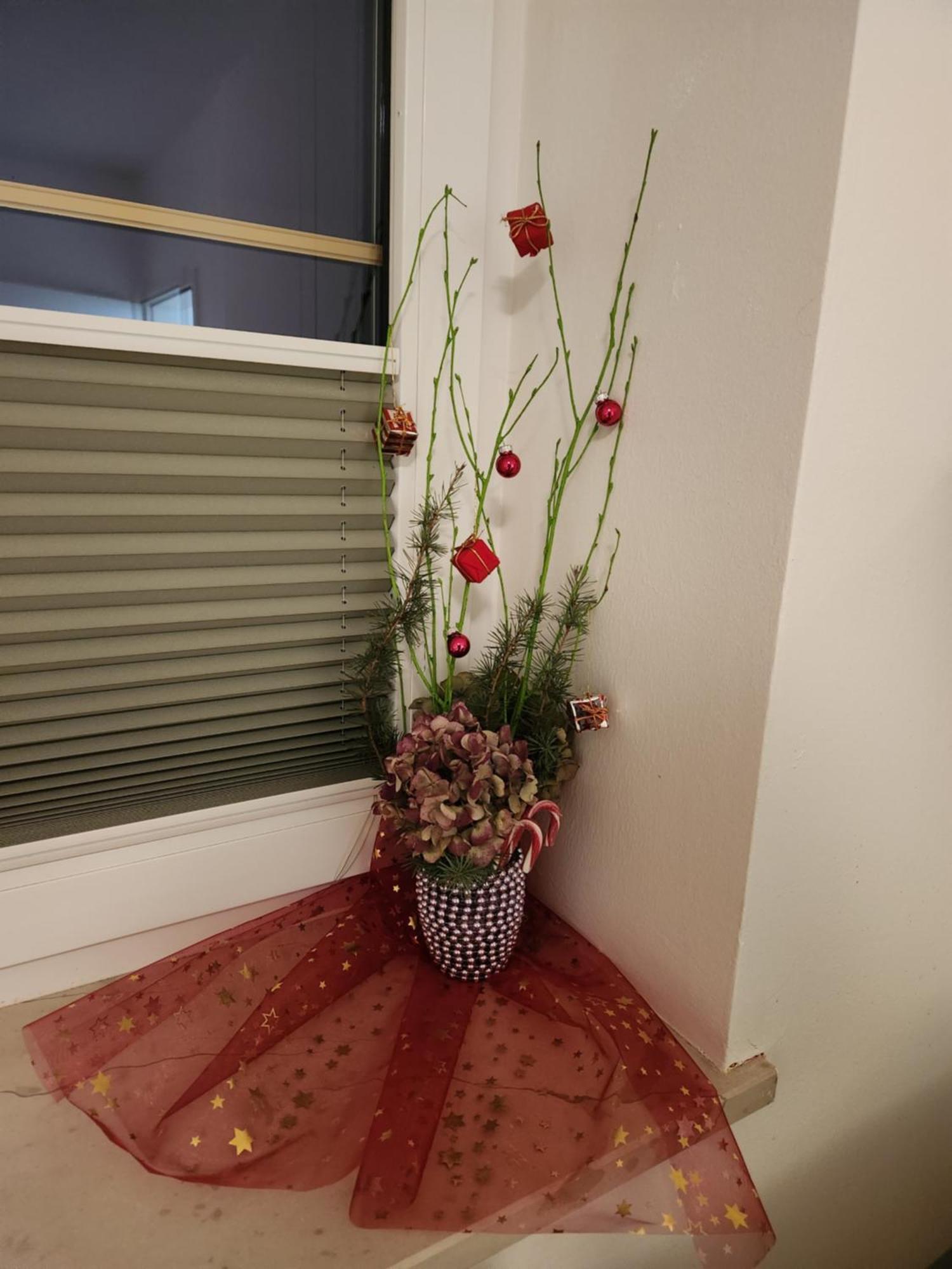 Vila Rajska Ptica Bled Bilik gambar